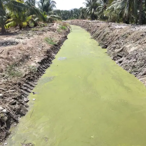 Comunidad de Portoviejo frena obra millonaria del plan Triple AAA: estas son las razones