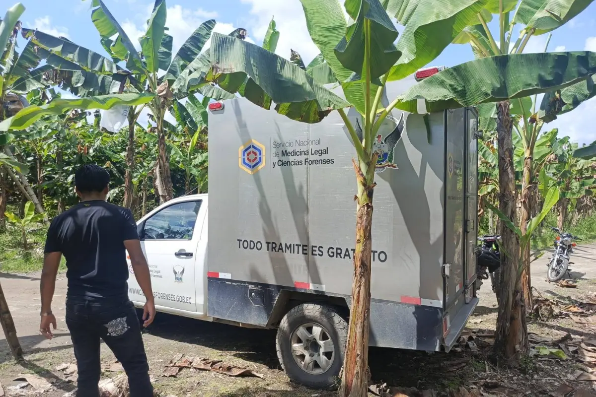 El Carmen hallan el cuerpo de un joven en una plantación de plátano en el sitio La Medianía