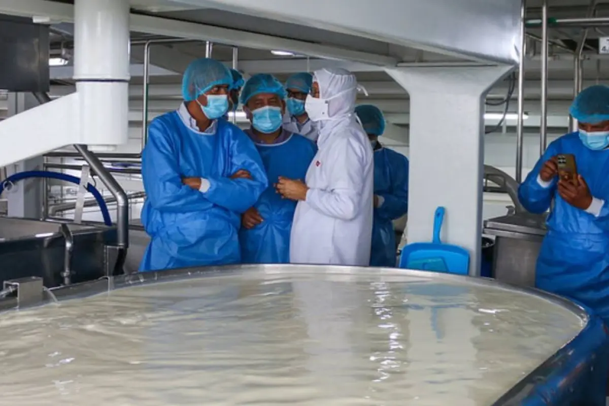 ¿Trabajas bajo servicios prestados en Ecuador? Estos son los derechos que tienes y que tal vez no sabías.