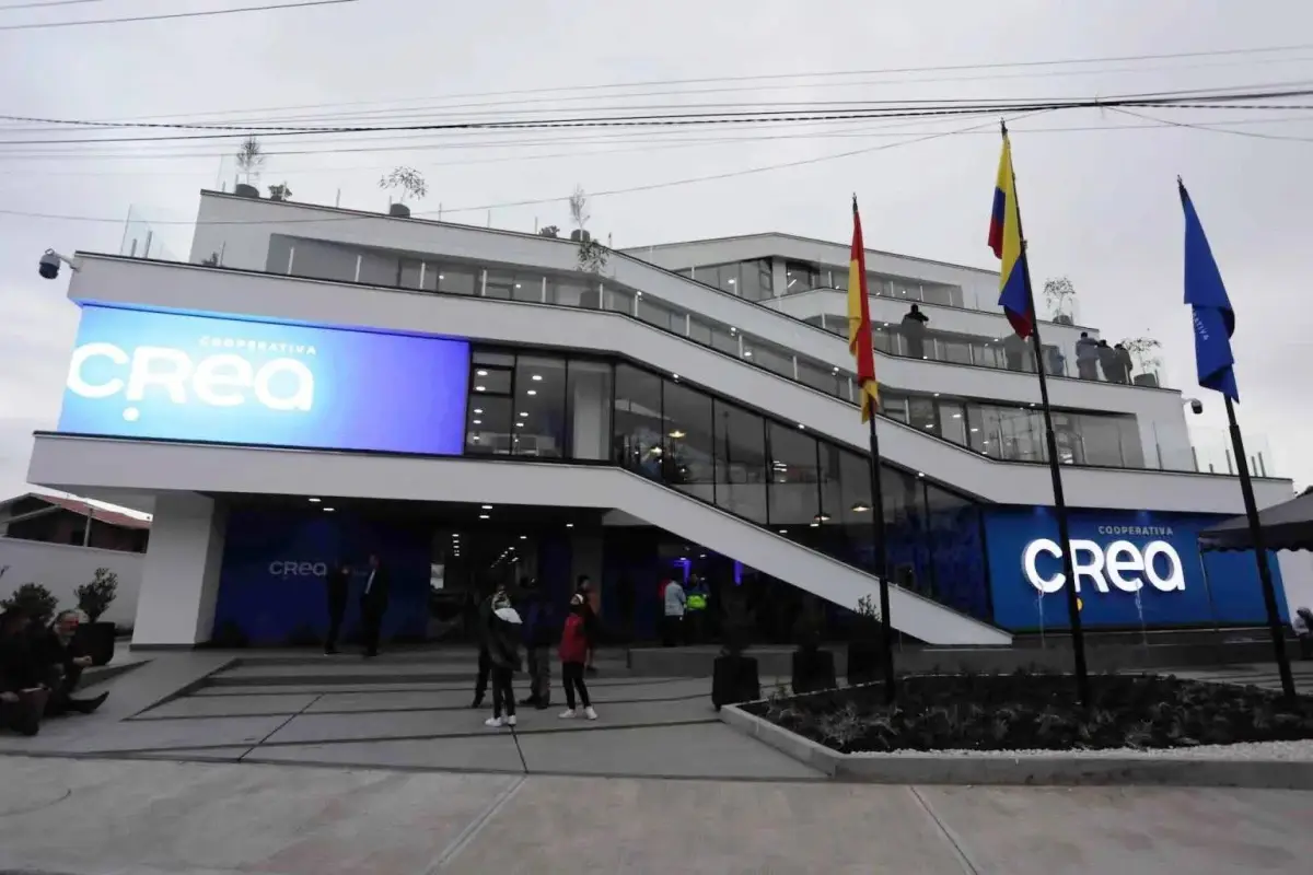 cooperativa