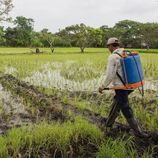 Incentivo Emprende en Ecuador: ¿Se reanudará la entrega de mil dólares a productores y emprendedores afectados por las lluvias?