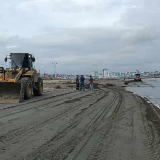 Manta retira 450 toneladas de palizada en una semana y mantiene limpieza diaria en playa de Tarqui