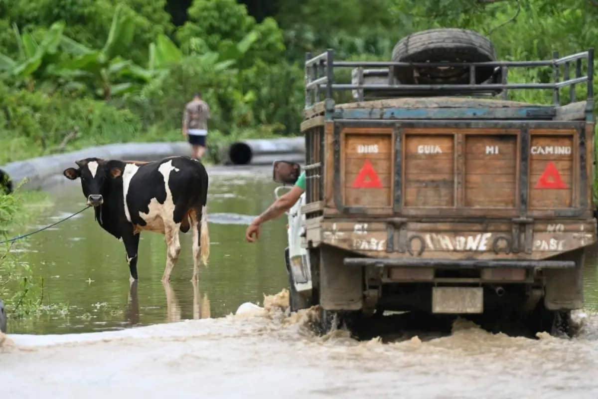 Lluvias en Ecuador: ¿Habrá ayuda financiera para los afectados por el temporal lluvioso este 2026?