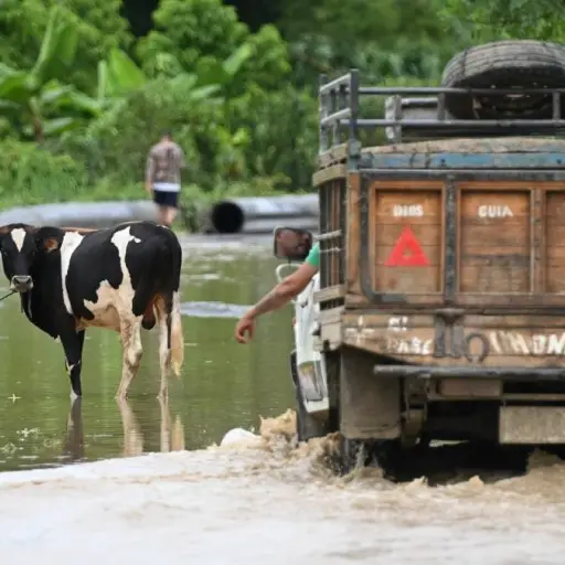 Lluvias en Ecuador: ¿Habrá ayuda financiera para los afectados por el temporal lluvioso este 2026?