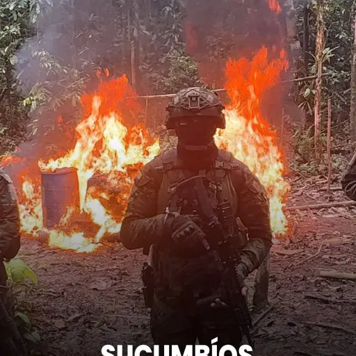 Operación militar golpea la minería ilegal: 51 campamentos destruidos en menos de 48 horas