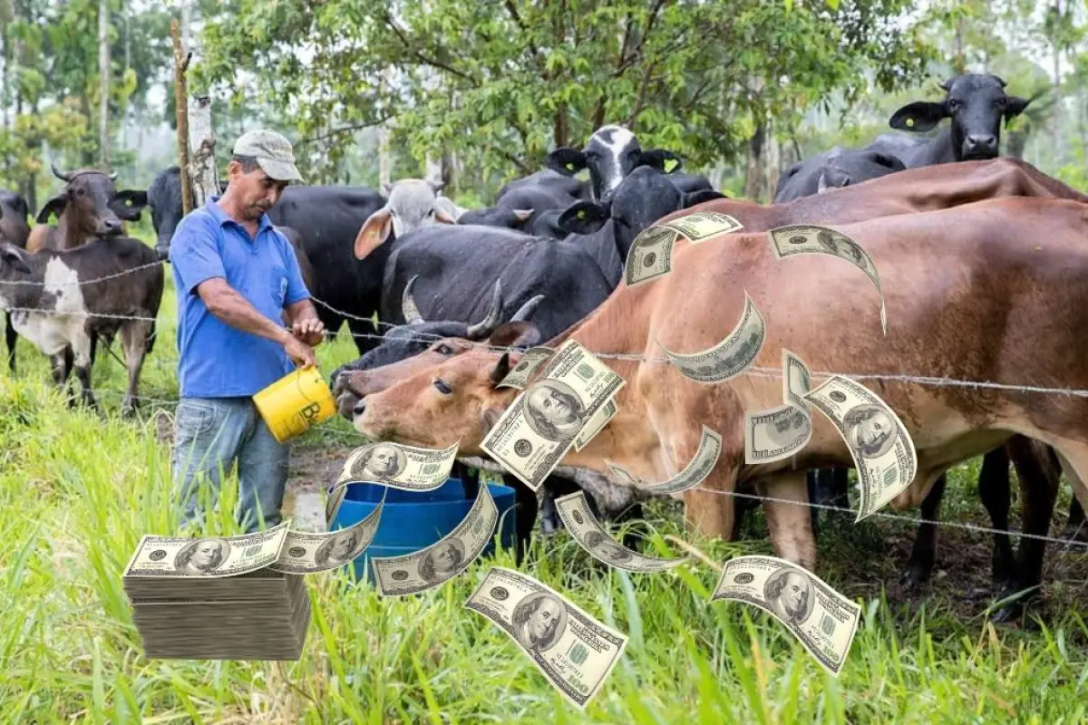 Bancos privados de Ecuador destinan más de 52 mil millones de dólares al sector productivo, según el BCE.