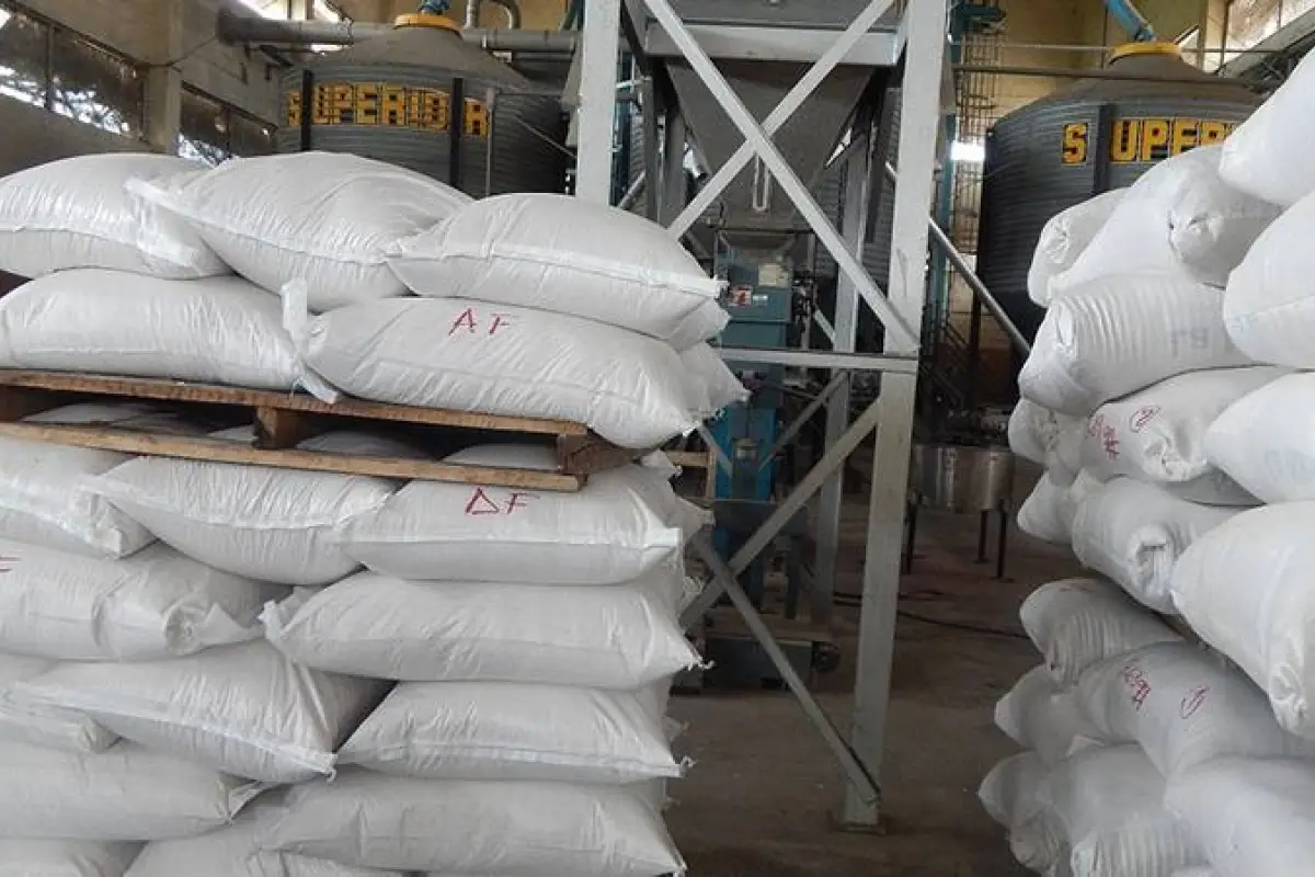 Sacos de arroz en bodega, compra de arroz a productores en Ecuador