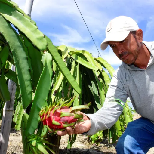 Ecuador elimina aranceles y flexibiliza ingreso de productos estadounidenses tras la firma de acuerdo