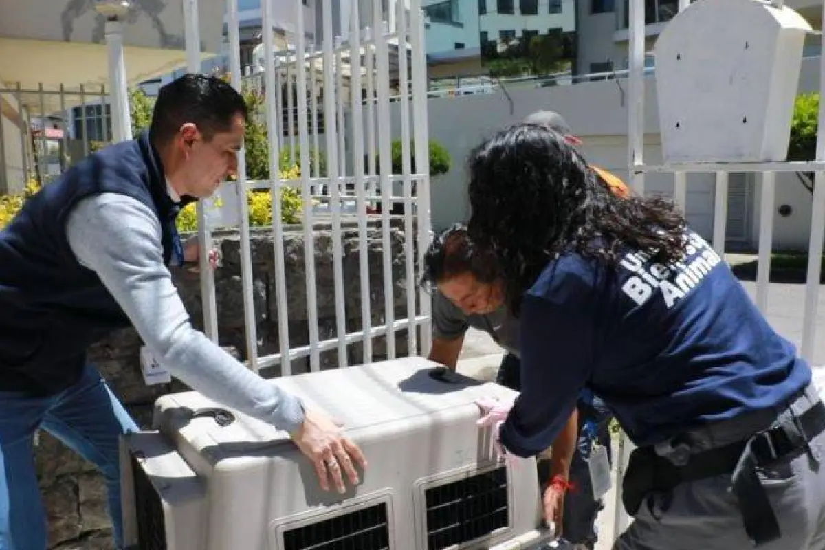 El ataque ocurrió en Quito., Quito Informa