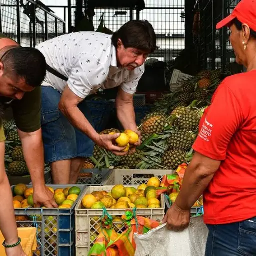Más de 63 toneladas de alimentos recuperados benefician a 1.672 personas en Guayaquil