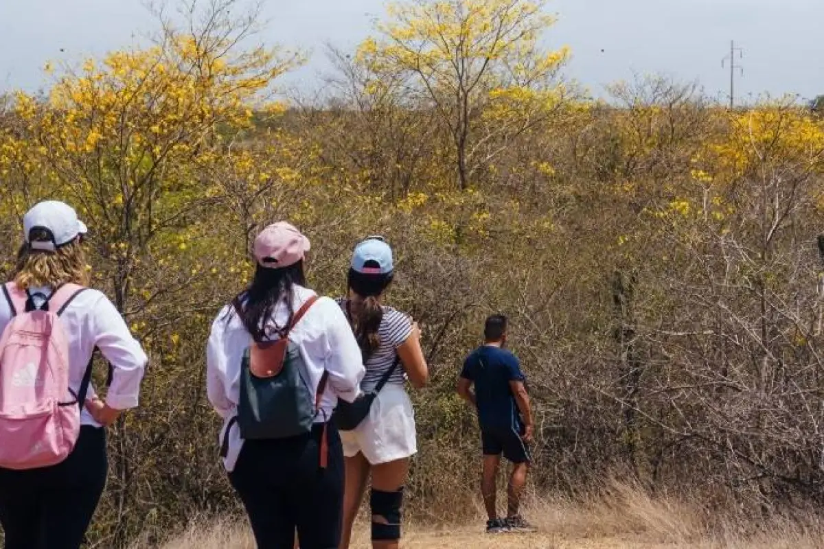 El cerro olvidado de Guayaquil ahora es clave para la conservación ambiental