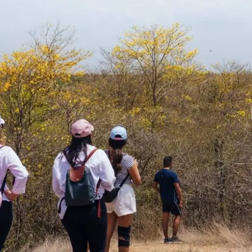Cerro El Muerto se convierte en Área de Conservación y Uso Sustentable en Guayaquil