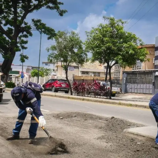 Municipio de Guayaquil refuerza mantenimiento vial en avenidas y puentes afectados por lluvias