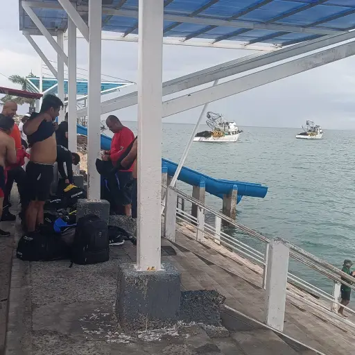 Organizaciones ejecutan acciones de conservación marina en Manta y Jaramijó