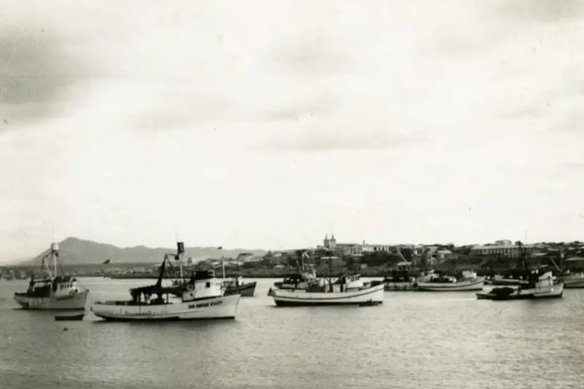 MANTA Y EL CAFÉ
