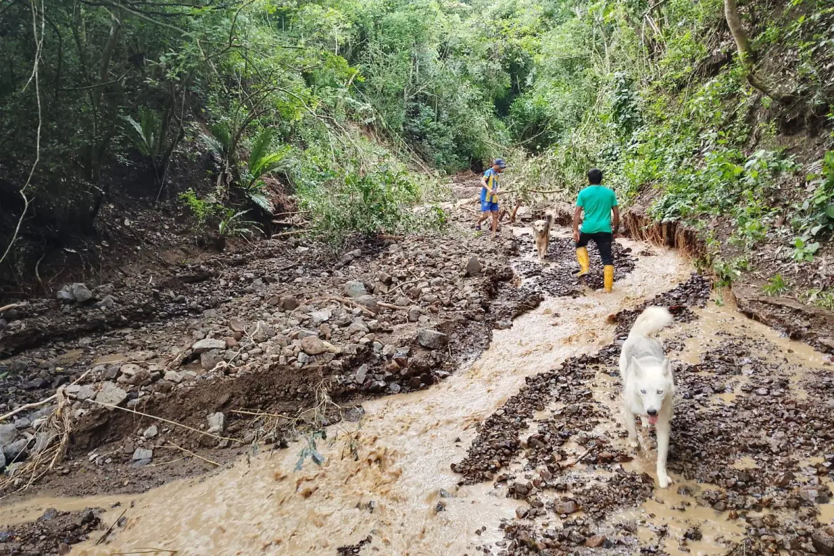 CERRO MONTECRISTI
