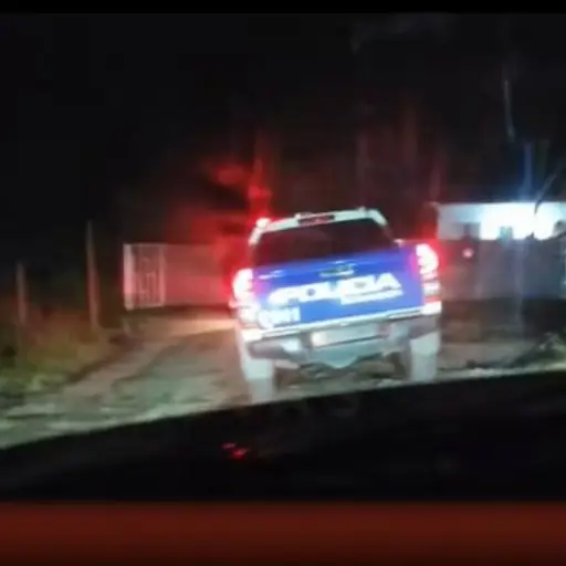 Perros que escarbaban en un terreno terminaron revelando un macabro hallazgo en Machala