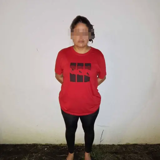 Capturan a sospechosa por presunto delito de abuso sexual contra menor en Santo Domingo