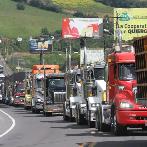 Guerra arancelaria afecta al sector agrícola ecuatoriano con caída de precios, mayores costos logísticos y pérdidas millonarias para arroceros y plataneros