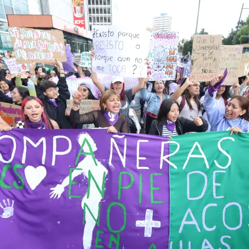 Movilizaciones por el día internacional de la mujer: Colectivos se reunirán en diferentes ciudades este 8M