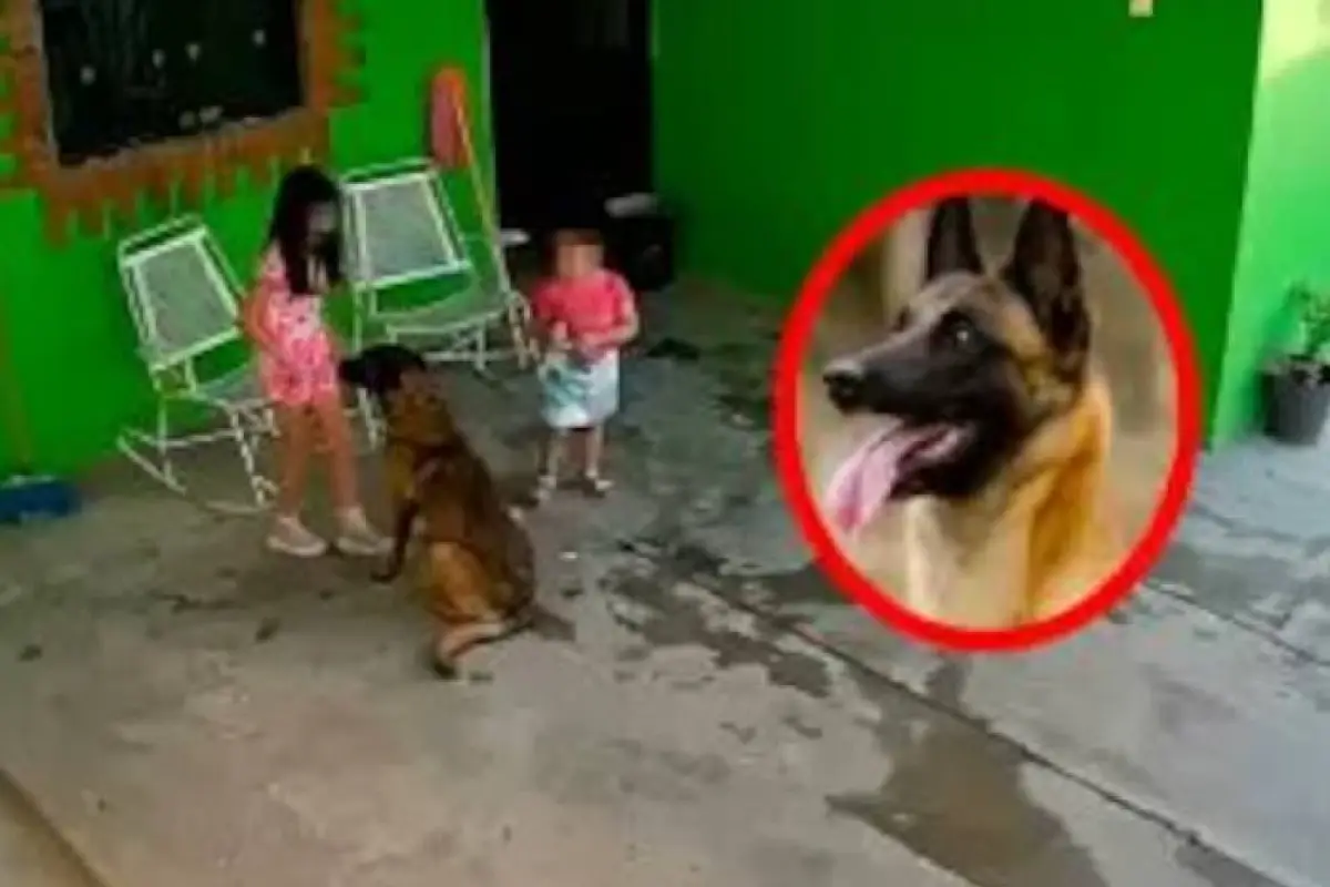 Pilo