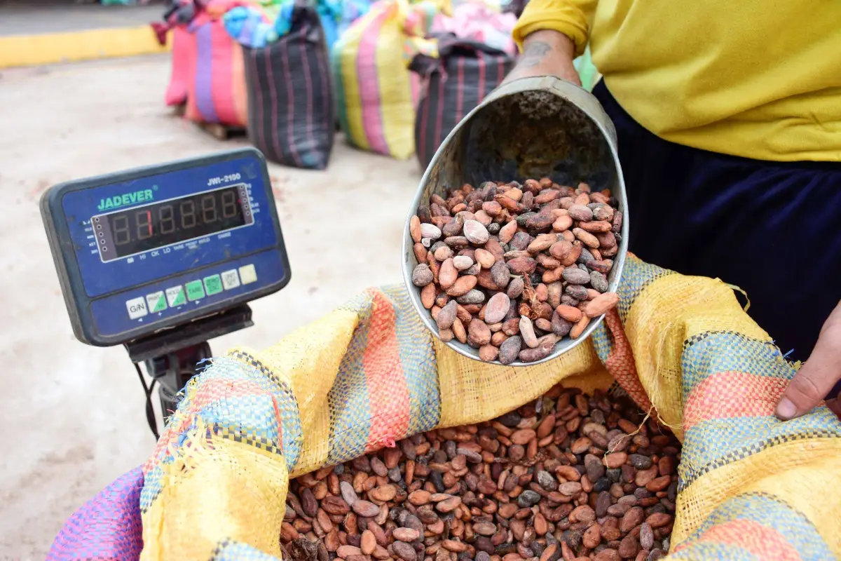 La producción agrícola es uno de los sectores que aporta a la economía en varios cantones de Manabí., El Diario