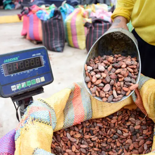 Seis cantones de Manabí tardaron más de una década en igualar la economía de Cuenca