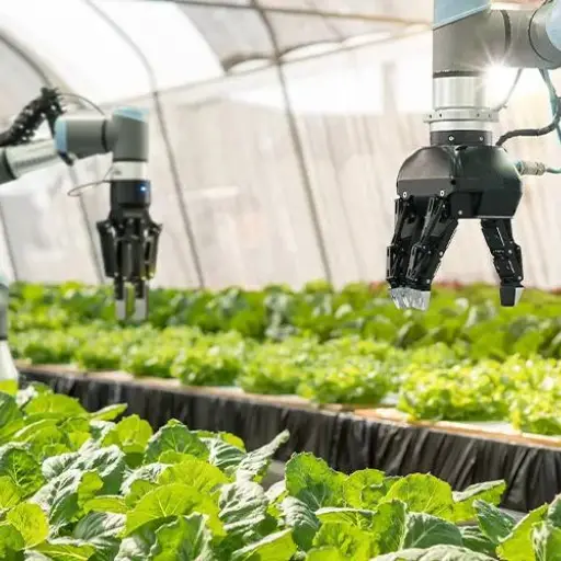 Inteligencia artificial y agricultura: Estrategias tecnológicas para enfrentar la crisis alimentaria