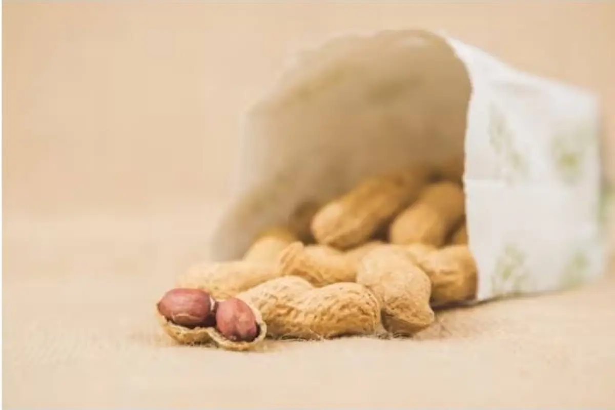 Investigación revela que microbiota bucal podría reducir alergias alimentarias., Europa Press.