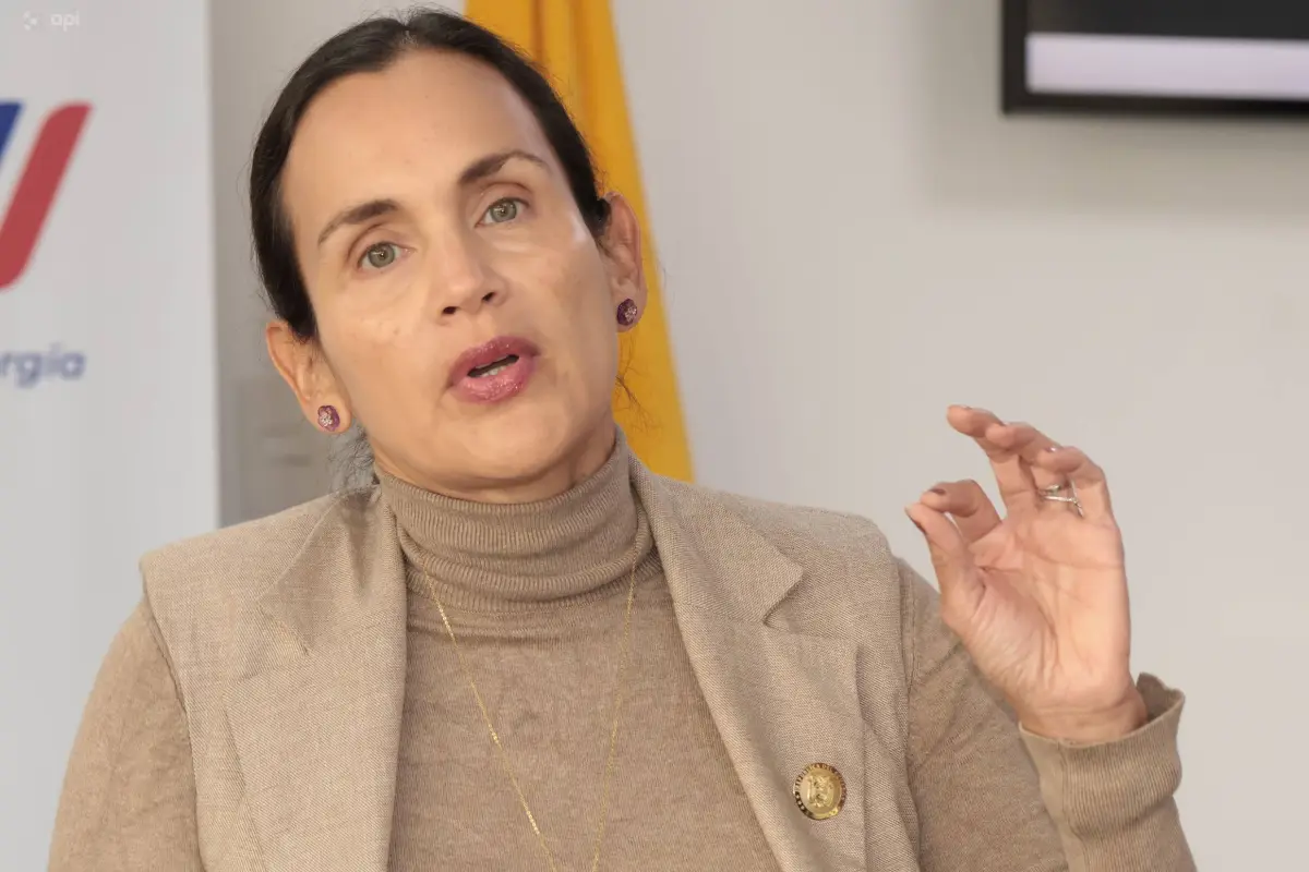 La Ministra de Ambiente y Energía, Inés Manzano, se reunió el pasado  27 de febrero de 2026 con organizaciones ambientalistas de Ecuador y el mundo, así como multilaterales, para hablar sobre Galápagos. La cita fue en Quito. , Henry Lapo/API