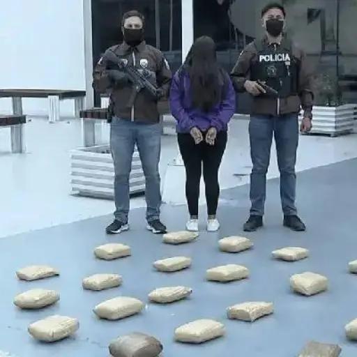 Procesan a embarazada en Quito por presunto tráfico de marihuana a gran escala