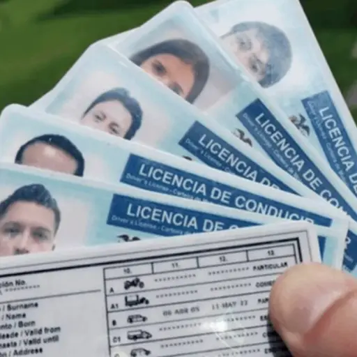 Red de corrupción en la ANT: Legalización irregular de licencias extranjeras y cobros ilegales  