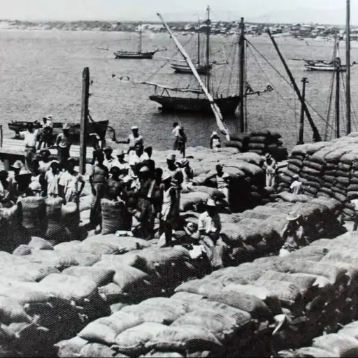 Los  patriarcas del café, el poder económico en la transformación de Manta