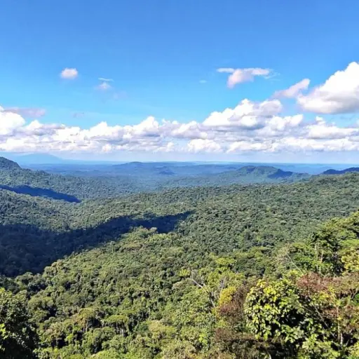 El Ministerio de Ambiente reconoce al Corredor de Conectividad Llanganates-Yasuní como zona de conservación
