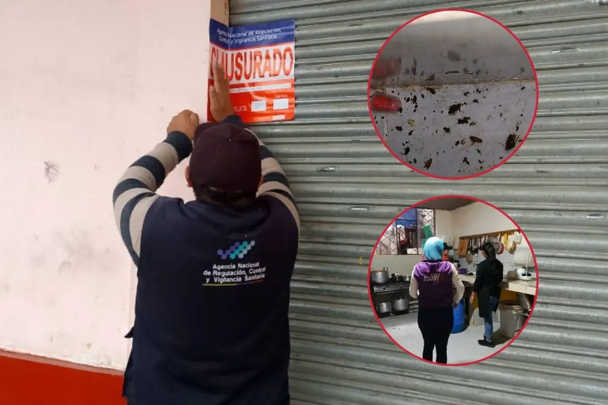 El local quedó clausurado por el Arcsa hasta que mejore las condiciones de higiene., Arcsa.