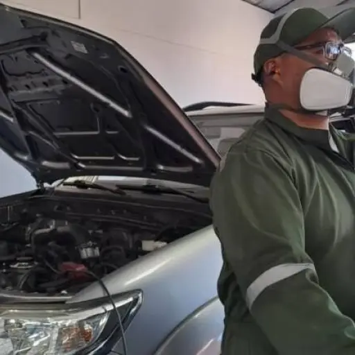 AMT reactiva matriculación vehicular y trámites tras restablecimiento del sistema nacional