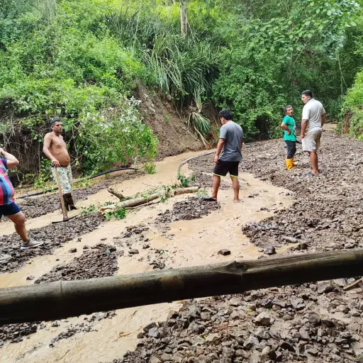 Montecristi se planta este sábado por su cerro: la lucha contra la deforestación y el olvido oficial
