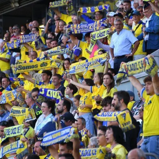 Despiden a trabajador en España tras fingir lumbalgia para no ir a trabajar y aparecer en un estadio apoyando a su equipo