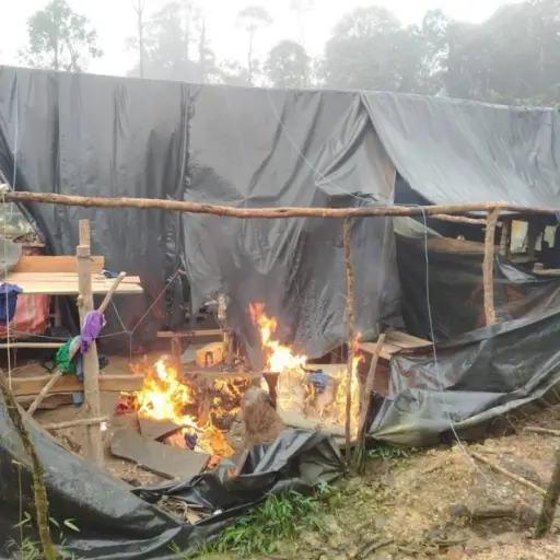 ¿Campamento narco o granja? The New York Times pone en duda ataque en Ecuador