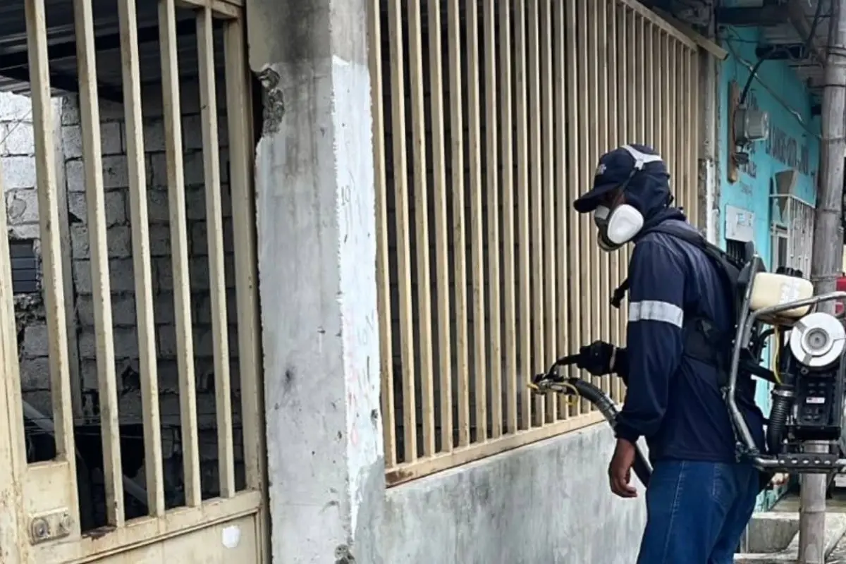 Guayaquil intensifica fumigación tras aumento de casos de dengue, Municipio de Guayaquil
