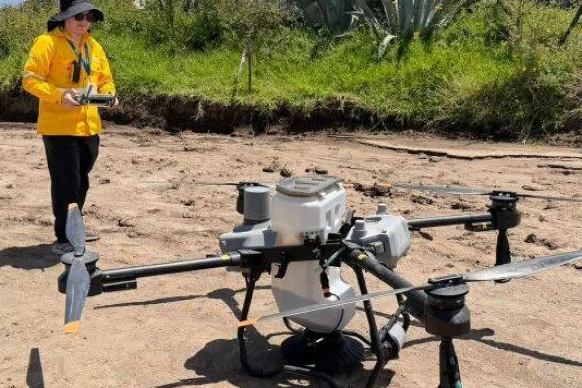Usarán drones para la dispersión., Quito Informa