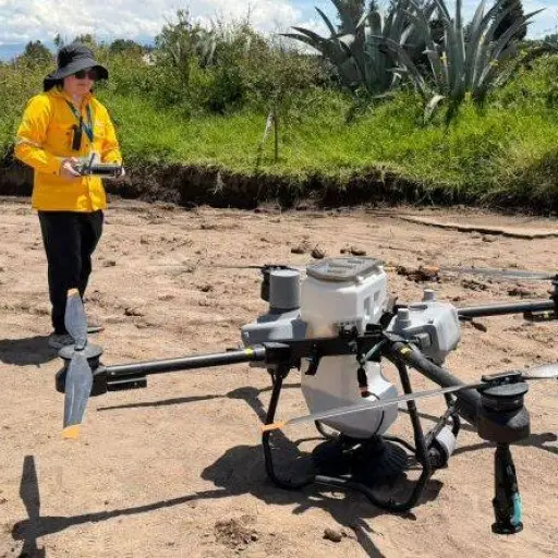 Proyecto ambiental prevé dispersión de más de 133 mil semillas en Quito