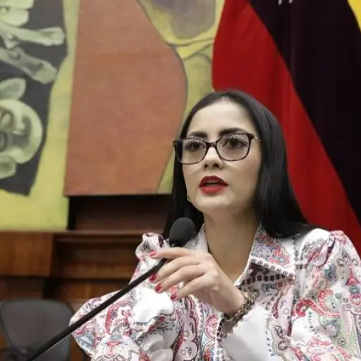 Contraloría confirma que no hay irregularidades en bienes de Viviana Veloz