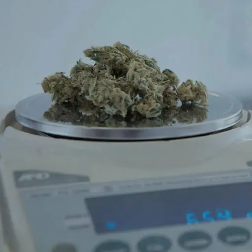 Condenado a 12 años de cárcel por el delito de tráfico de marihuana en Ambato