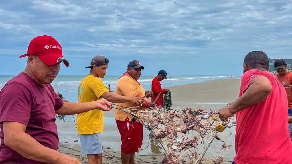 Jaiba Morada Devasta Pesca: ¡El Mar Roba el Pan!