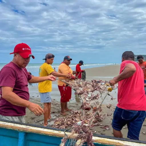 Flota pesquera de San Jacinto, San Alejo y San Clemente reporta pérdidas por plaga marina