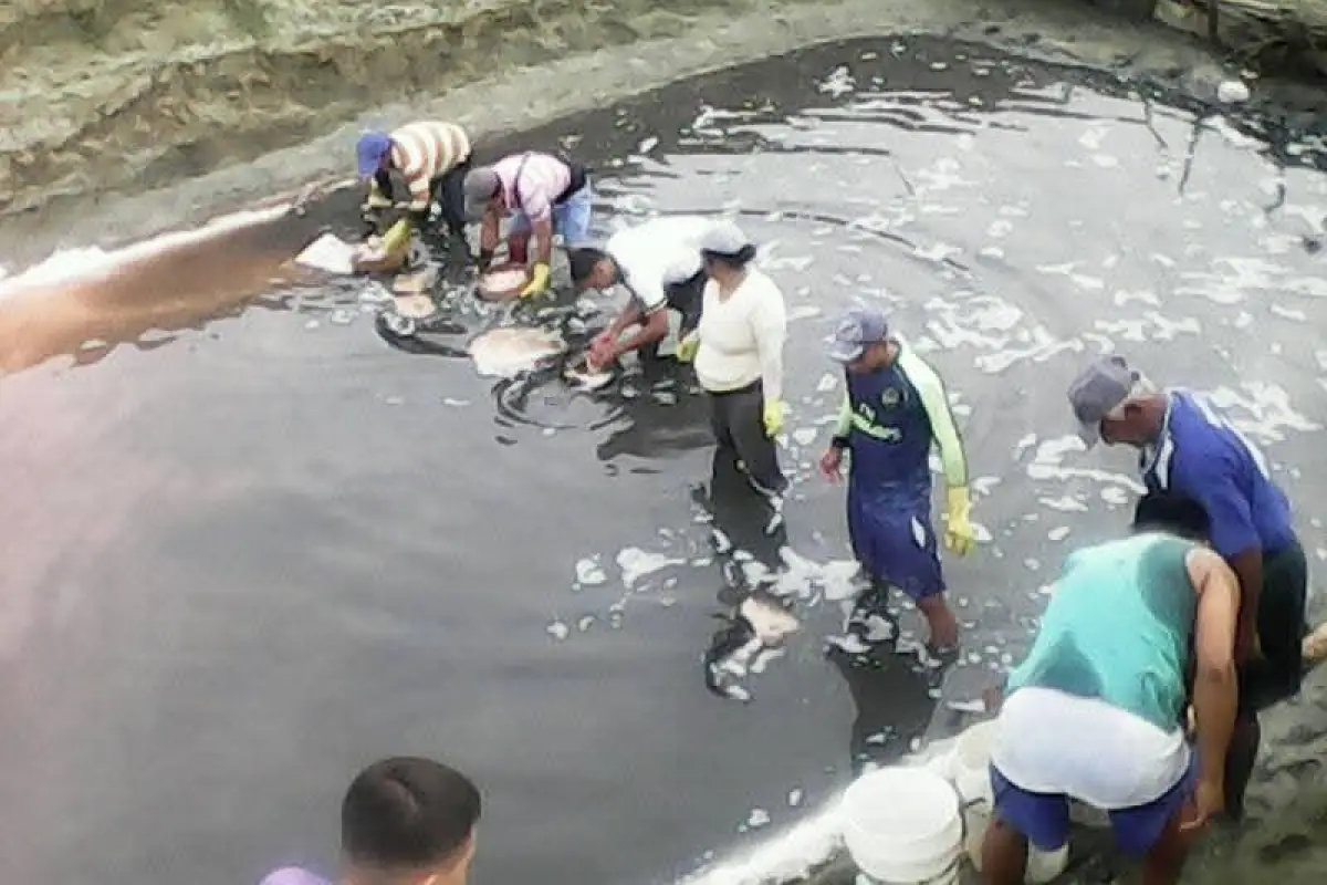Pérdida de playa en Crucita reduce producción de sal y pone en riesgo actividad tradicional, cortesía