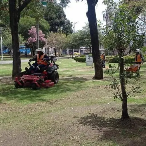 Así puedes pedir mantenimiento para parques en Quito en pocos pasos desde casa