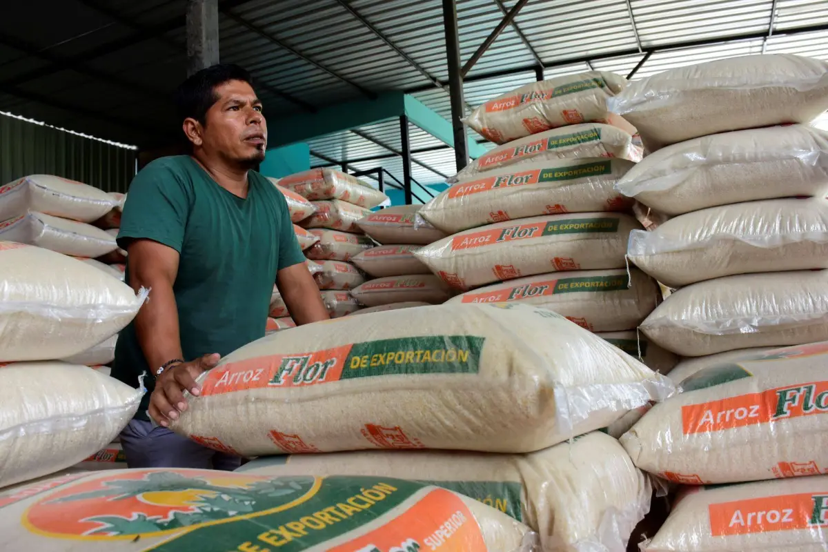En la piladora Doña Mary, de la comunidad Nuevo Core Agua, las bodegas están llenas de arroz., El Diario