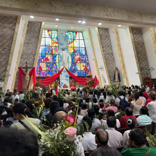 Santo Domingo: miles de fieles participan en bendición de ramos por inicio de Semana Santa